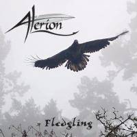 Alerion (NL) : Fledgling